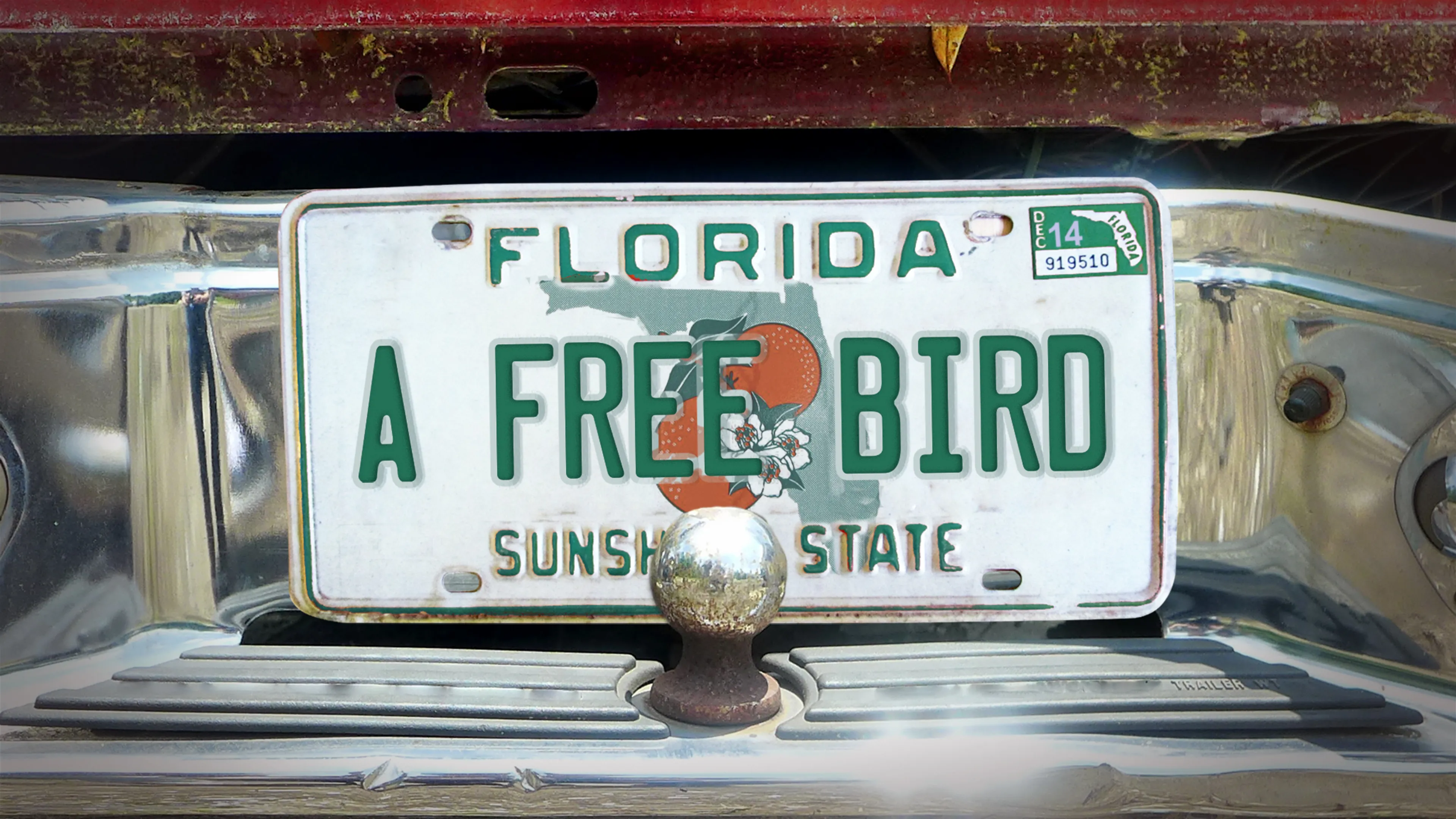 A Free Bird poster